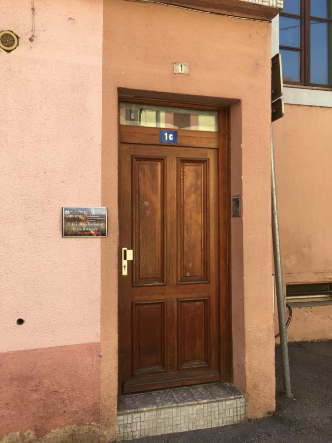 Le Gite 6 - Le Chateau Du Haut-Koenigsbourg 셀레스탓 외부 사진